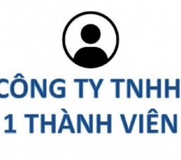 Công ty TNHH 1 Thành viên